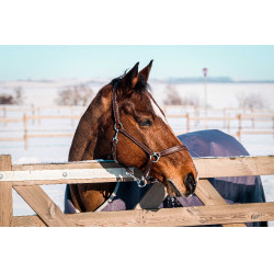 Coperta Equithème Tyrex 1200D riciclata Talpa Marrone