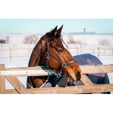Coperta Equithème Tyrex 1200D riciclata Talpa Marrone