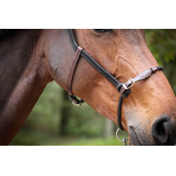 Capestro Pénélope Etologico Havana / nero Marrone