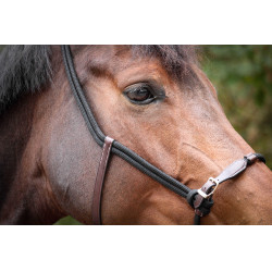 Capestro Pénélope Etologico Havana / nero Marrone