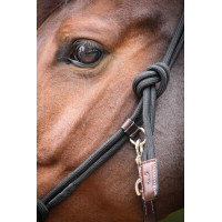 Capestro Pénélope Etologico Havana / nero Marrone