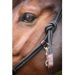 Capestro Pénélope Etologico Havana / nero Marrone