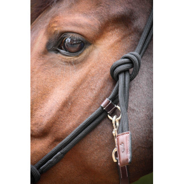 Capestro Pénélope Etologico Havana / nero Marrone