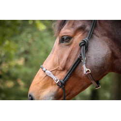 Capestro Pénélope Etologico Havana / nero Marrone