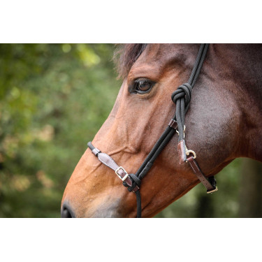 Capestro Pénélope Etologico Havana / nero Marrone