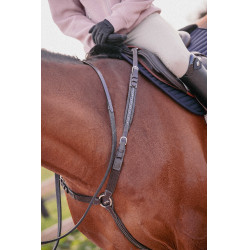 Martin collier Penelope Avana Marrone