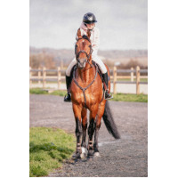 Martin collier Penelope Avana Marrone