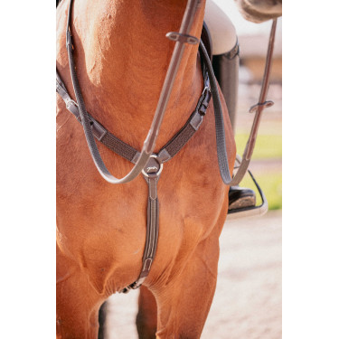 Martin collier Penelope Avana Marrone