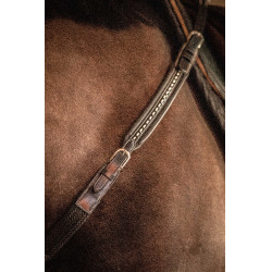 Martin collier Penelope Avana Marrone