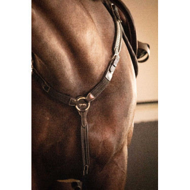 Martin collier Penelope Avana Marrone