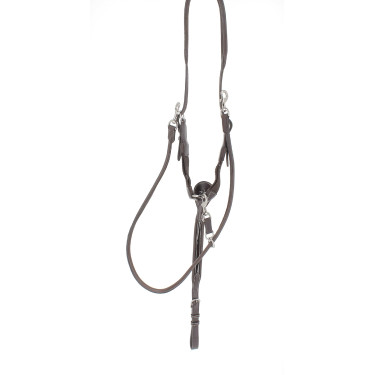 Martin collier Penelope Avana Marrone