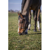 Capezza Norton Club in cuoio Avana Marrone