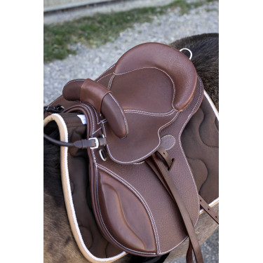 Sella bardetta Guy Cantin Evolution educativa Avana Marrone