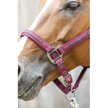 Capezzina Lami-Cell Sparkling Bordeaux