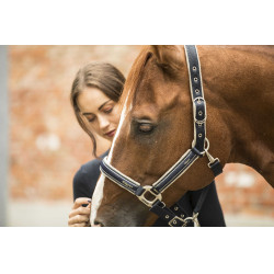 Capestro Lami-Cell Elegance Marino / champagne Blu