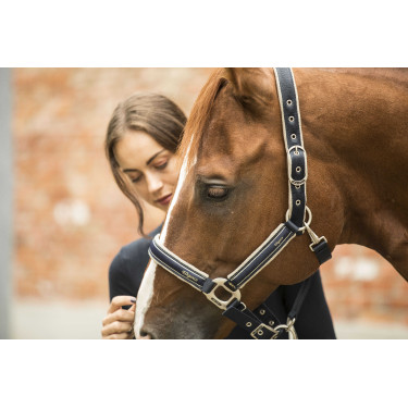 Capestro Lami-Cell Elegance Marino / champagne Blu