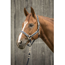 Capestro Lami-Cell Elegance Marino / champagne Blu