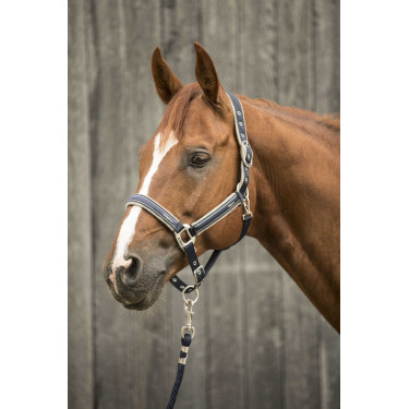 Capestro Lami-Cell Elegance Marino / champagne Blu