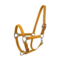 Capestro Lami-Cell LC Miele / dorato Giallo