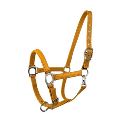 Capestro Lami-Cell LC Miele / dorato Giallo