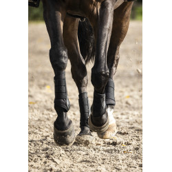 Stinchiere chiuse Lami-Cell V22 Brushing boots Nero Stinchiere chiuse Lami-Cell V22 Brushing boots Nero