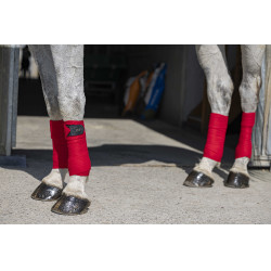 Fasce da polo Riding World Eco Rosso