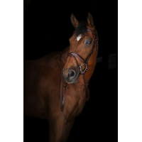 Rênes caoutchouc Eric Thomas Elite petits picots Havane Rênes caoutchouc Eric Thomas Elite petits picots Havane