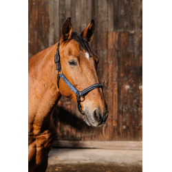 Capestro in nylon Equithème Domino Blu reale Capestro in nylon Equithème Domino Blu reale