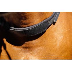 Collare da monta a pelo Norton Nero Collare da monta a pelo Norton Nero