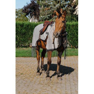 Camicia da lavoro Riding World anti-mosche Grigio