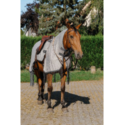 Camicia da lavoro Riding World anti-mosche Grigio