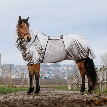 Camicia anti-eczema Riding World Grigio