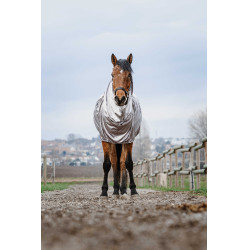 Camicia anti-eczema Riding World Grigio Camicia anti-eczema Riding World Grigio
