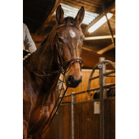 Redini tedesche cinghia Norton Pro 13mm Avana Marrone