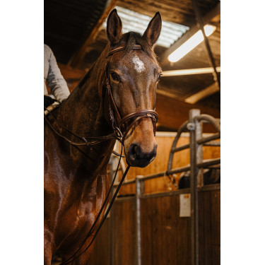 Redini tedesche cinghia Norton Pro 13mm Avana Marrone Redini tedesche cinghia Norton Pro 13mm Avana Marrone