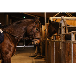 Redini tedesche cinghia Norton Pro 13mm Avana Marrone Redini tedesche cinghia Norton Pro 13mm Avana Marrone