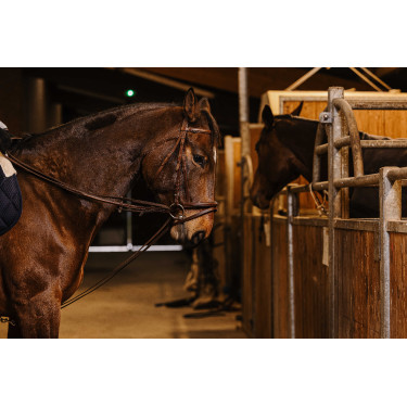 Redini tedesche cinghia Norton Pro 13mm Avana Marrone Redini tedesche cinghia Norton Pro 13mm Avana Marrone