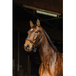 Capezza in cuoio Norton Rock Nero Capezza in cuoio Norton Rock Nero