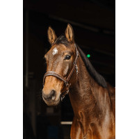 Capezza in cuoio Norton Rock Nero