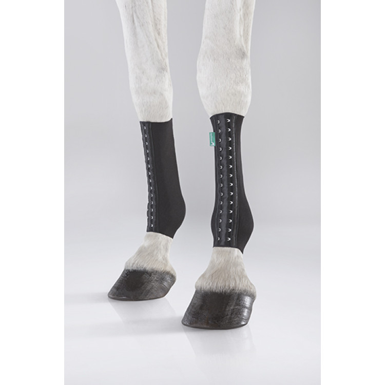 Equicrown Fit pastorale posteriore