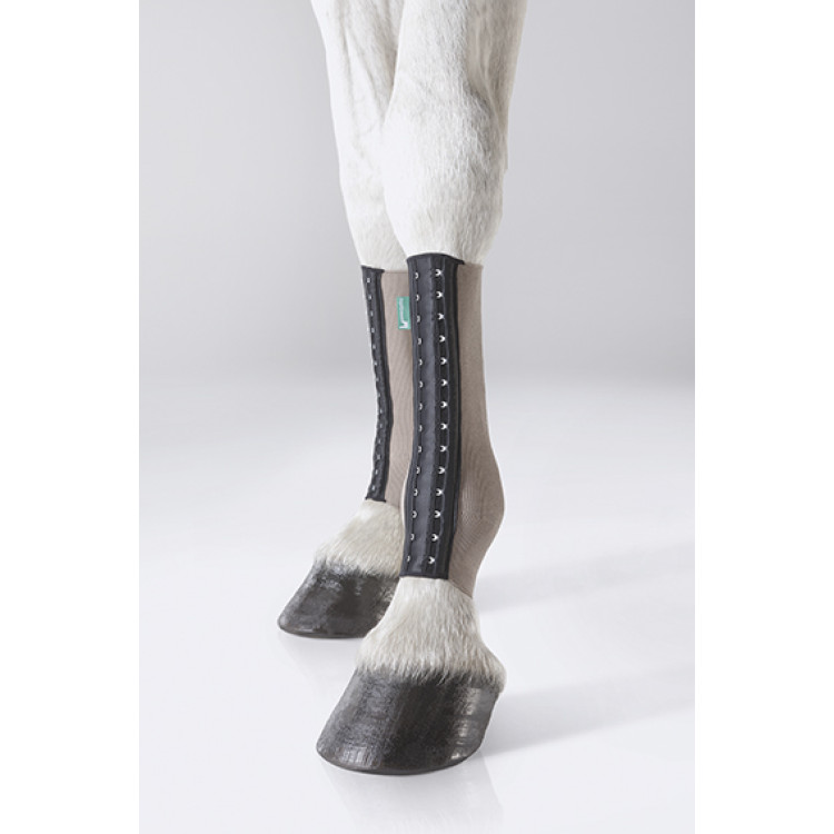 Equicrown Fit silver pastorale posteriore