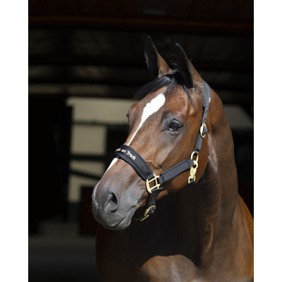 Licol Werano Back On Track Noir