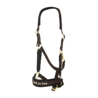 Capezzina Werano Back On Track Marrone