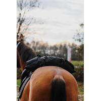 Borsa a banana Randol Marrone