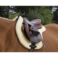 Tapis amortisseur Teddy Welltex Back On Track Tapis amortisseur Teddy Welltex Back On Track
