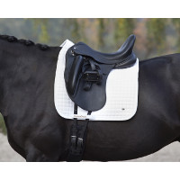 Tappeto No.Ⅰ Dressage Back On Track Blu