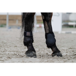 Paratendini Equithème Nero