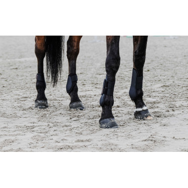 Paratendini Equithème Nero