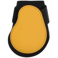 Paratendini Equithème