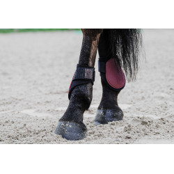 Paratendini Equithème Bordeaux